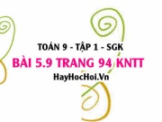 Bài 5.9 Toán 9 tập 1 SGK Kết nối tri thức